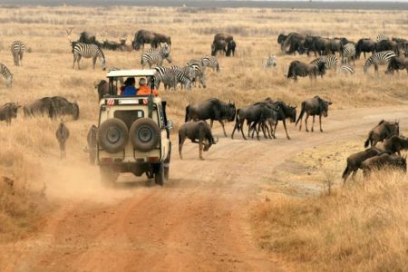 3 Day Serengeti Safari | Serengeti National Park & Ngorongoro Crater