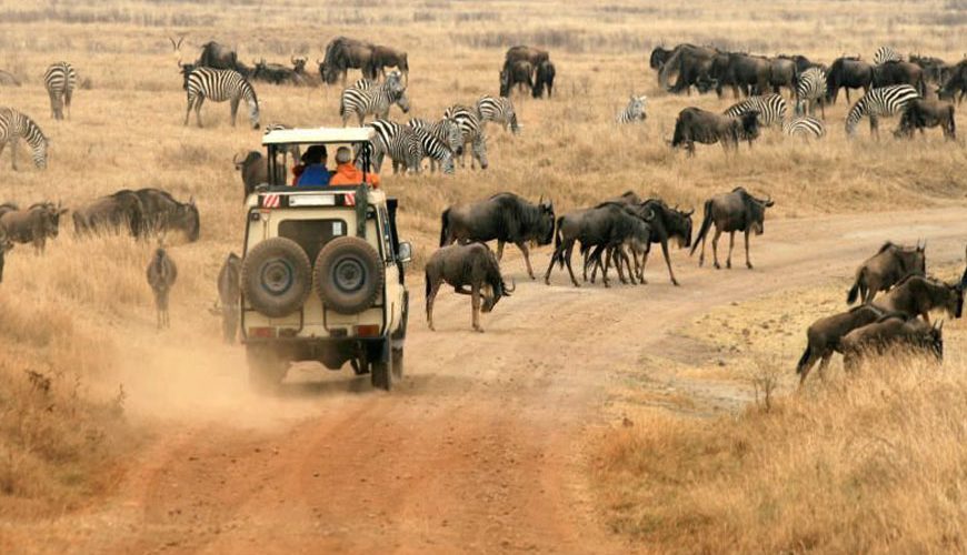 3-Day-Serengeti-Safari Tarangire-National-Park