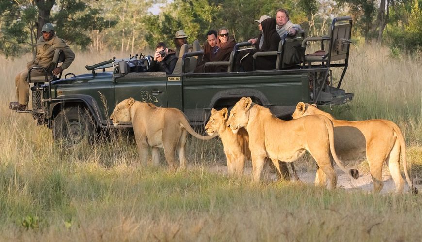 10-days-Uganda-Safari-Bwindi-Park-