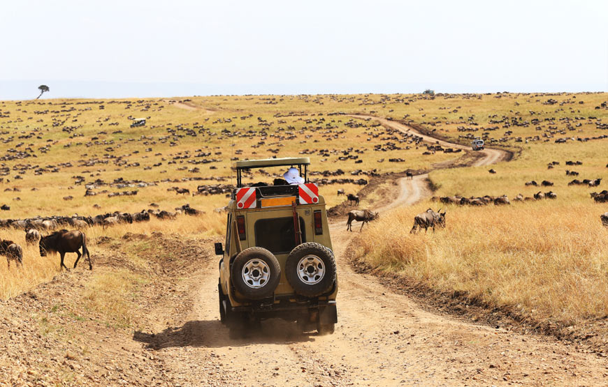 <span>Day 7</span> Game drive at Masai Mara National Park 