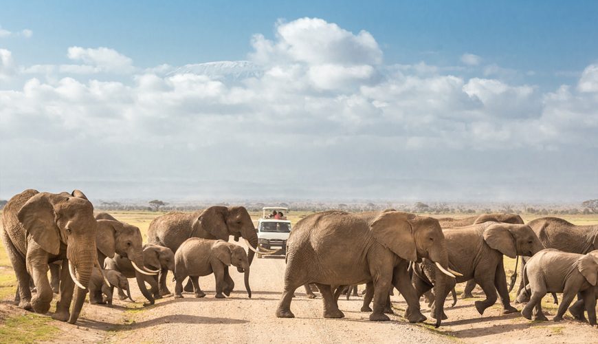 10-days-kenya-Safari-Amboseli-National-Park-