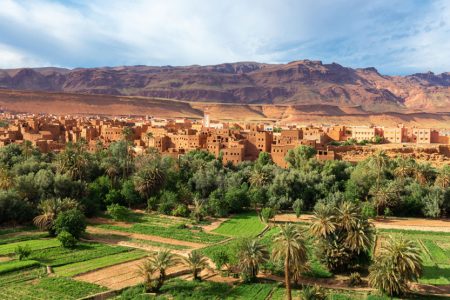 Holidays Points takes you to the most exotic places in the world. With private local guides, you will spend your Holidays differently