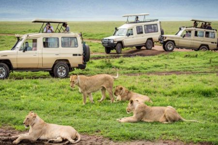 5 Day Tanzania Safari Big 5, Parks, & Reserves