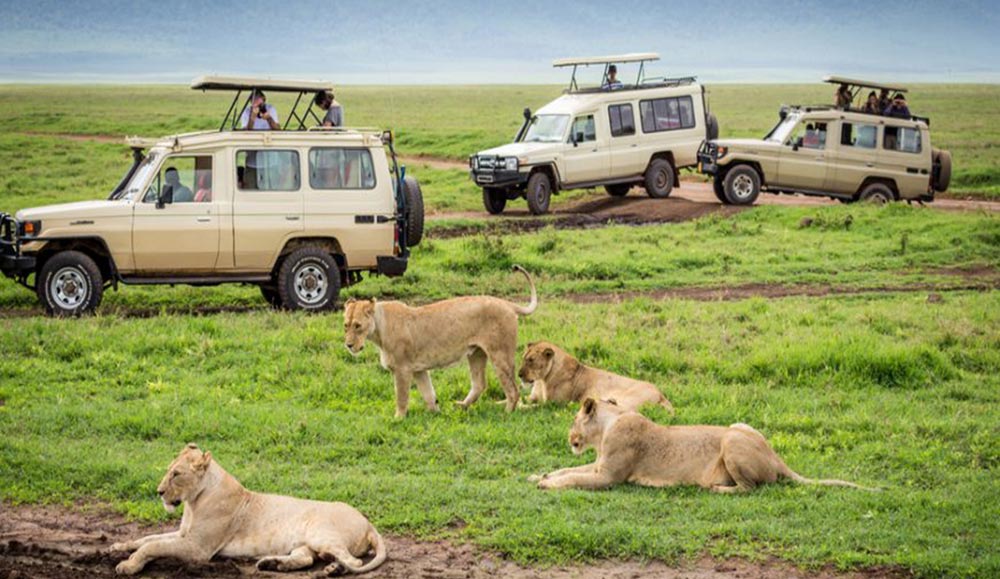 5 Day Tanzania Safari Big 5, Parks, & Reserves