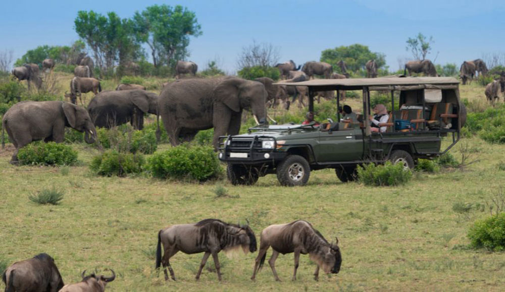 10 days Tanzania Itinerary | Wildlife Safari