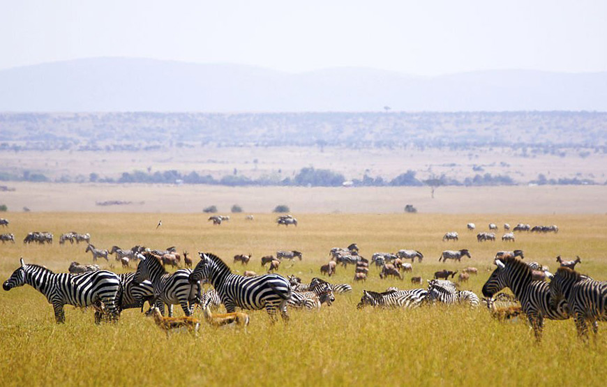 6 Days Kenya Safari from Nairobi