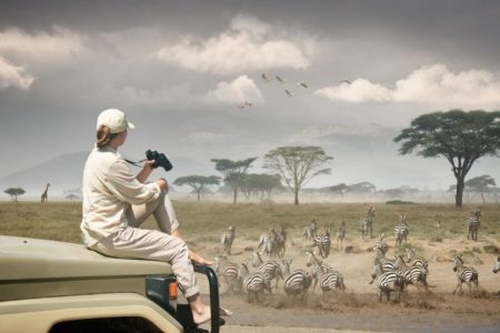 10 days Tanzania Itinerary | Wildlife Safari