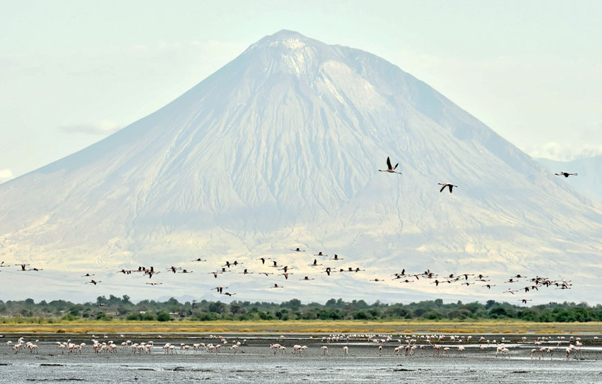 <span> Day 3 </span> Travel to Lake Natron