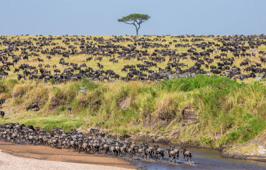 3 Day Serengeti Safari | Serengeti National Park & Ngorongoro Crater