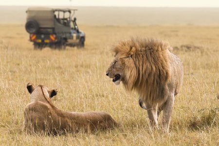 7 Days Kenya Safari | Wildlife Attractions