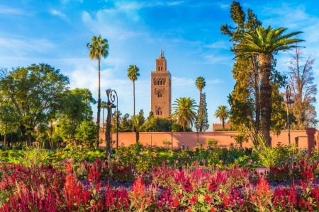 15 Days Tour  from Marrakech to Casablanca