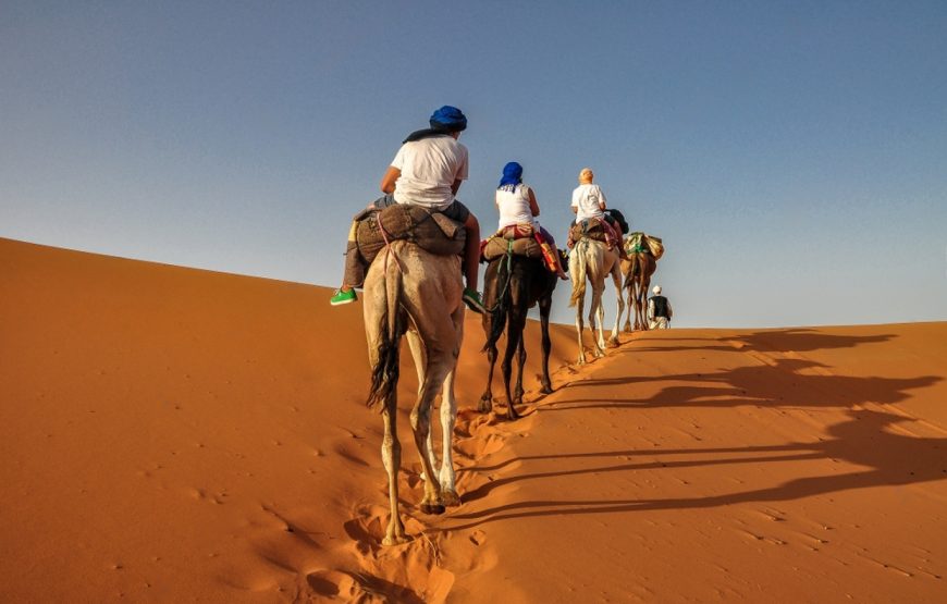 5 Days Tour from Fez to Marrakech